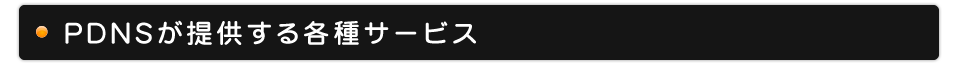 PDNSが提供する各種サービス