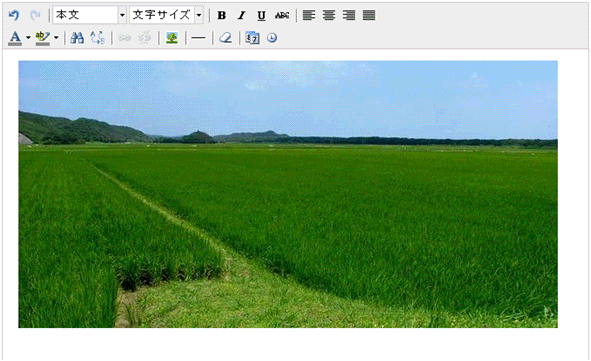 画像挿入ボタン