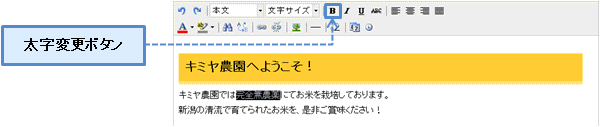 太字ボタンイメージ