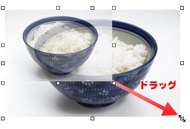 画像挿入イメージ