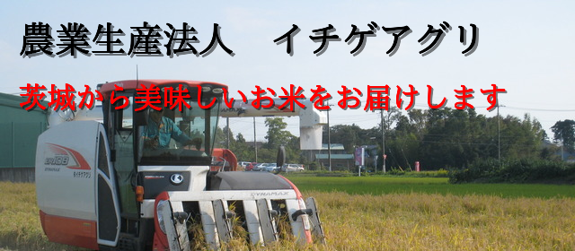産直市場 中古農機 のことならPDNS 情報ネットワークサービス