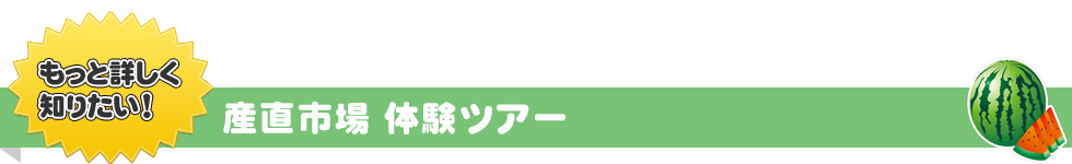 産直市場　体験ツアー（サンプルをご覧いただけます。）